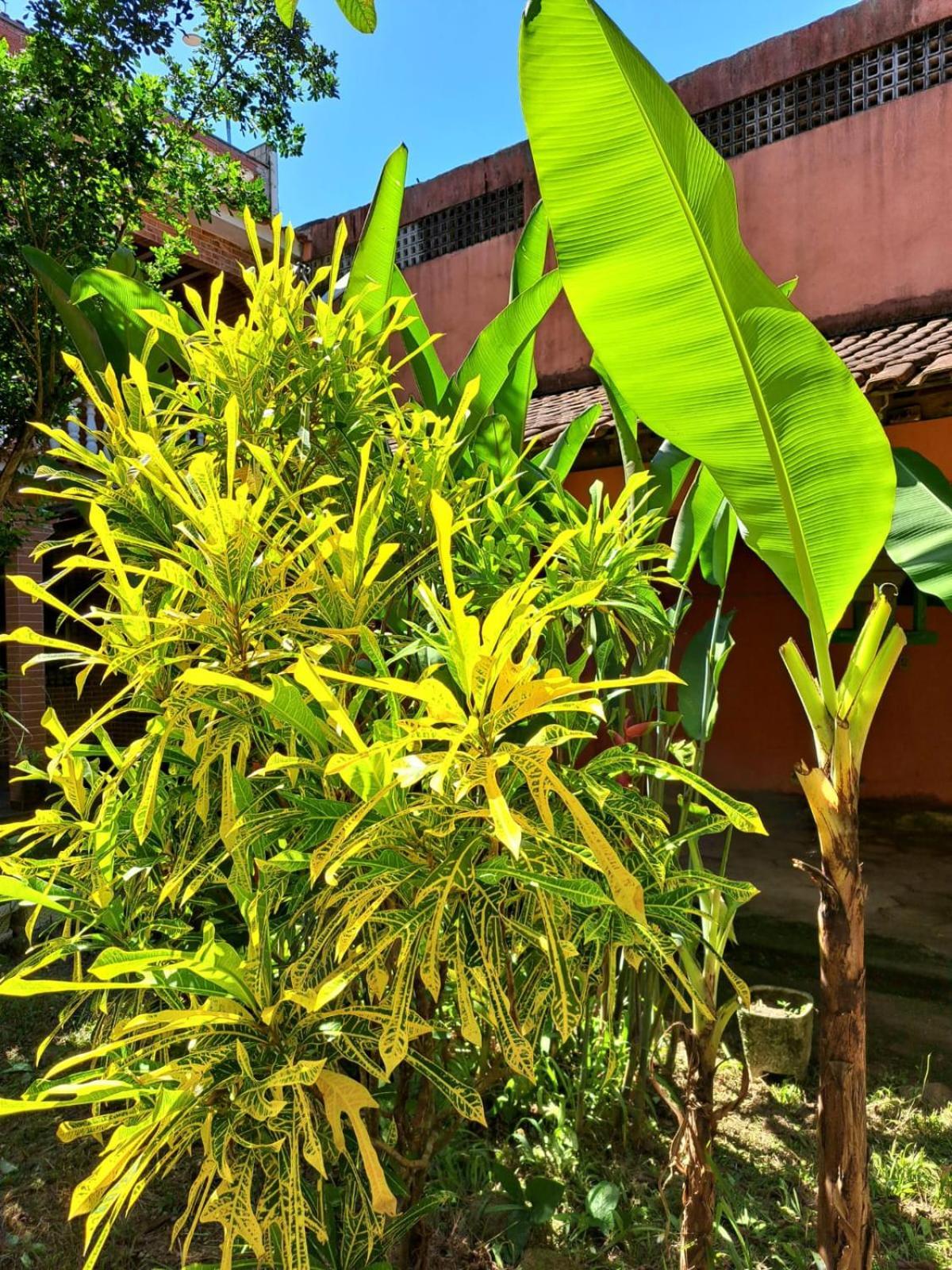 Casa Costa Verde-Muriqui Vila Muriqui Exterior foto